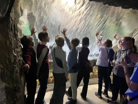 Экскурсия Экскурсия